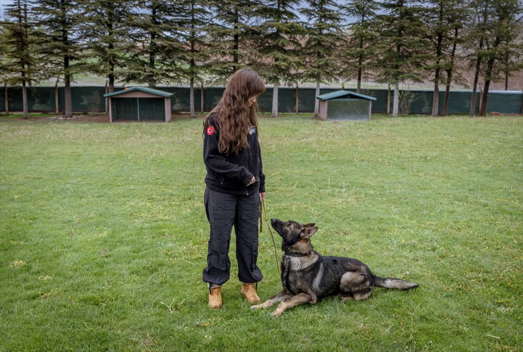 Özel eğitimli köpekler yeraltındaki su kaçaklarını tespit edecek 15